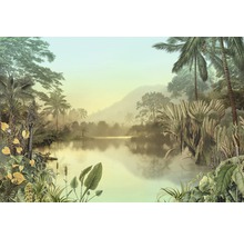 Ilustrație a unui peisaj tropical luxuriant cu lac, palmieri și munți