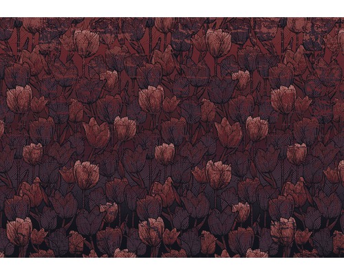 Fototapet vlies HX8-051 Tulipe 400x280 cm