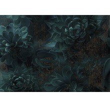 Tapet cu model de plante suculente și forme geometrice