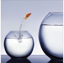 Tablou sticlă Jumping Fish 30x30 cm