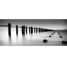 Tablou sticlă Moody I 30x80 cm