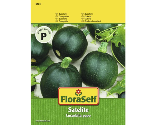 FloraSelf semințe de dovlecei verzi" Satelite"
