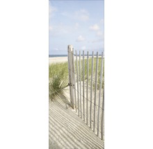Tablou sticlă Sand sedge II 30x80 cm
