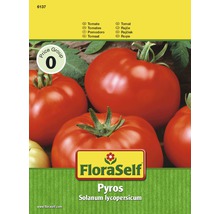 FloraSelf semințe de roşii Pyros-thumb-1