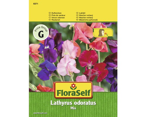FloraSelf mix seminţe de flori Lathyrus (măzăriche parfumată)