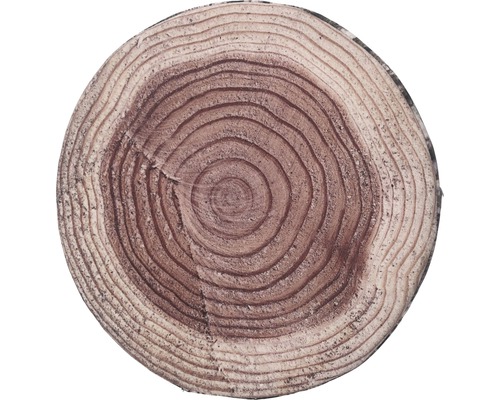Felie de trunchi de copac cu inele anuale