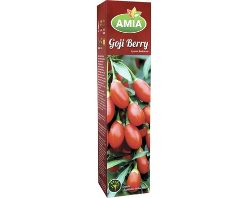 Plantă Amia Goji Berry