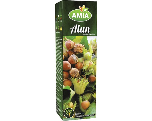 Pachet plantă alun