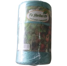 Fir fibrilat, legume, verde-thumb-1