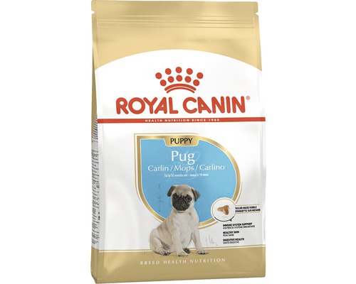 Hrană uscată pentru câini Royal Canin Pug Junior, 1,5 kg