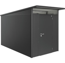 Magazie grădină Biohort AvantGarde A4 ușă standard 180x380 cm gri închis metalizat