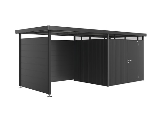 Șopron de scule cu ușă