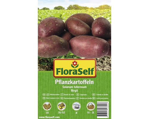 FloraSelf sămânță cartof 'Birgit', 10 buc.