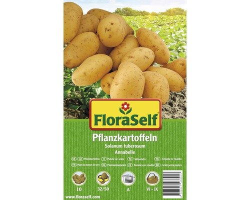 FloraSelf sămânță cartof 'Anabelle', 10 buc.