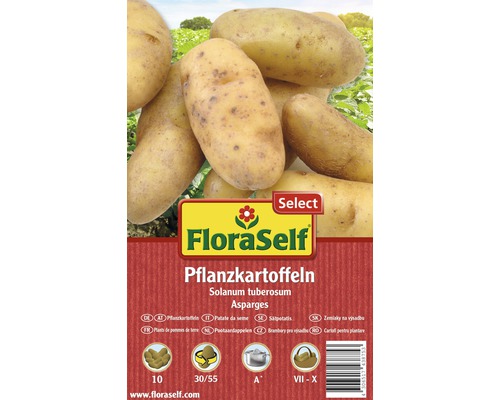 FloraSelf Select sămânță cartof 'Asparges', 10 buc.