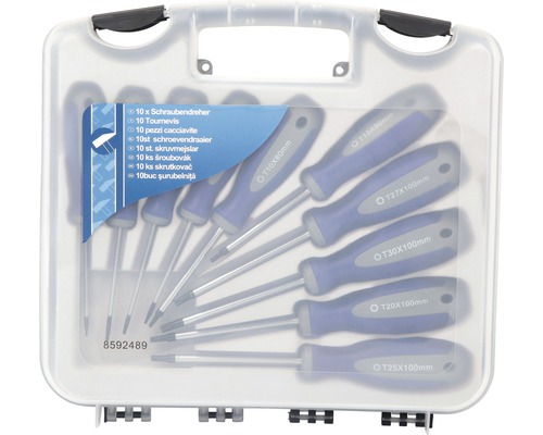 Set șurubelnițe cu zece piese în cutie din plastic