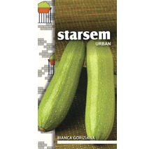 Semințe legume Starsem dovlecel Bianca Goriziana-thumb-0