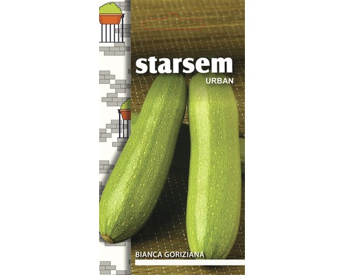 Semințe legume Starsem dovlecel Bianca Goriziana-0