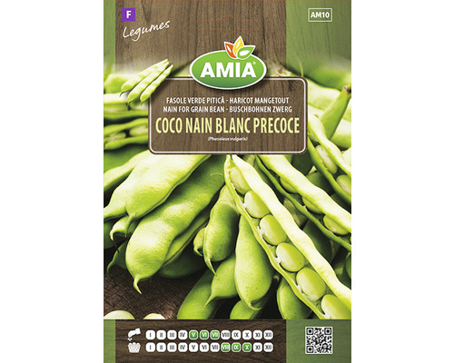 Semințe legume Amia fasole Coco Nain Blanc Precoce