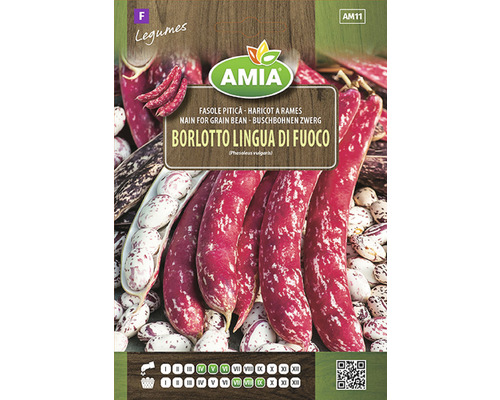 Semințe legume Amia fasole Borlotto Lingua Di Fuoco