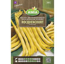 Pachet de semințe pentru fasole pitică Rocquencourt