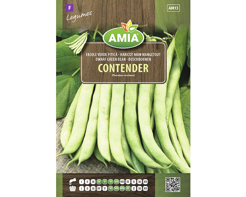 Semințe legume Amia fasole Contender