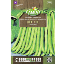 Pachet de semințe pentru fasole pitică Delinel