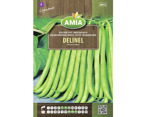 Semințe legume Amia fasole Delinel