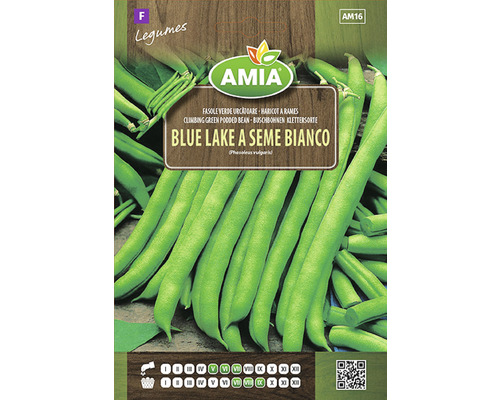 Semințe legume Amia fasole Blue Lake a Seme Bianco