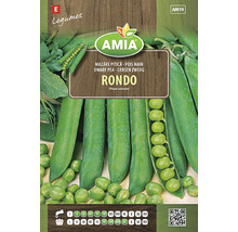 Pachet de semințe de mazăre pitică Amia Rondo