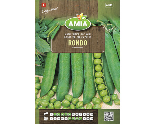 Semințe legume Amia mazăre Rondo