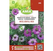 Pachet de semințe Amia Nigella Miss Jekyll Red