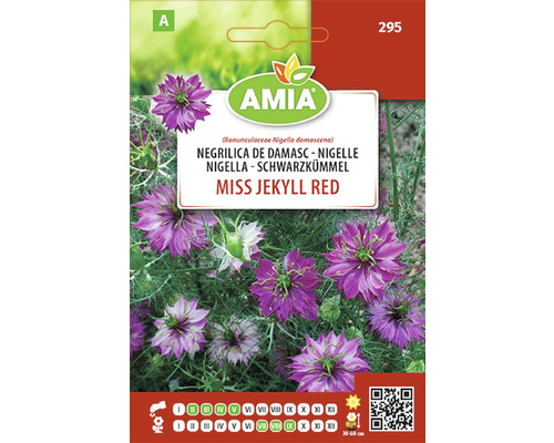 Semințe flori Amia negrilica de Damasc Nigella Damasceana mix