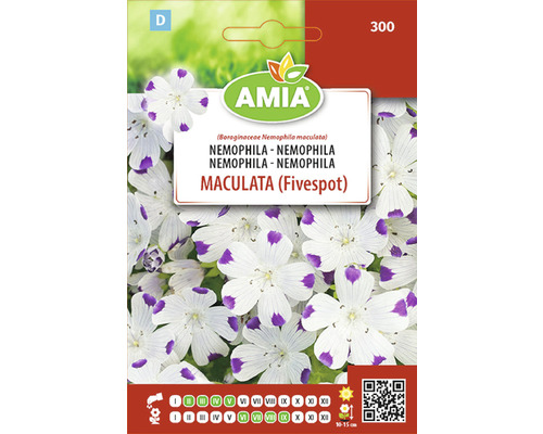 Semințe flori Amia Nemophila Maculata alb/ violet