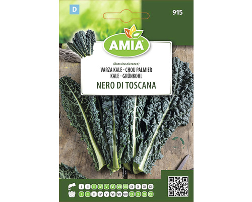Semințe legume Amia varză Kale Nero di Toscana