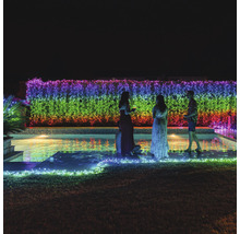 Scenă cu persoane la o piscină, iluminată cu un lanț luminos multicolor