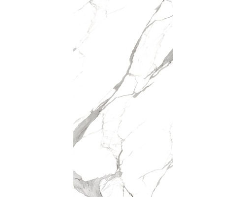 Gresie / Faianță porțelanată glazurată Statuario Eva A 80x160 cm