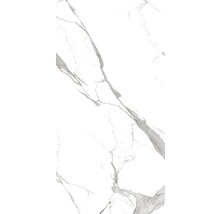 Gresie / Faianță porțelanată glazurată Statuario Eva B 80x160 cm-thumb-0