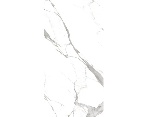 Gresie / Faianță porțelanată glazurată Statuario Eva B 80x160 cm-0