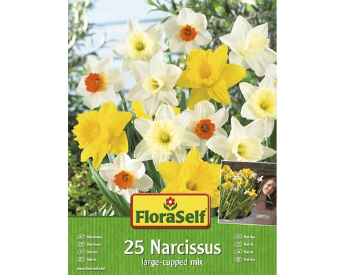 FloraSelf Amestec Bulbi Narcise, 25 buc.-0