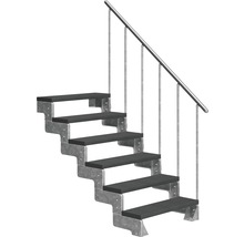 Scară exterioară cu șase trepte și balustradă