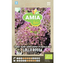 Bio Semințe de salata Lollo Rosa Amia-thumb-0