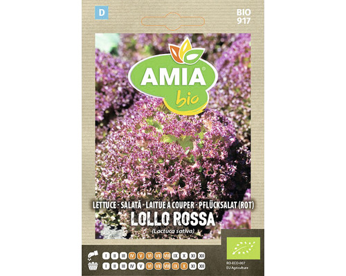 Pachet de semințe de salată de tăiat Amia Bio Lollo Rossa Pachet de semințe de salată de tăiat Amia Bio Lollo Rossa