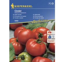 Semințe de legume Kiepenkerl, roșii pentru salată Cindel F1-thumb-0