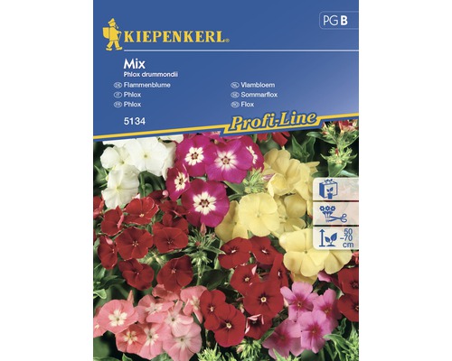 Semințe de flori Kiepenkerl mix Phlox "Brumărele"