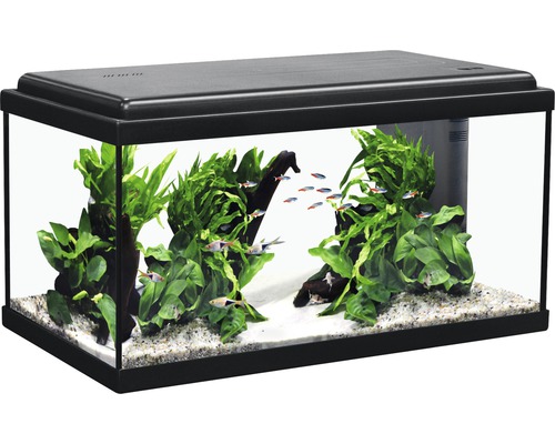 Acvariu Aquatlantis Advance Led 60x30x34 cm negru | HORNBACH