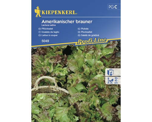 Semințe de salată americană de grădină Kiepenkerl
