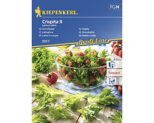 Semințe de salată creață II Kiepenkerl