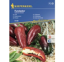 Semințe de legume Kiepenkerl, ardei iute Fundador-thumb-0