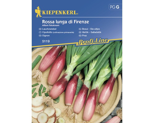 Semințe de legume Kiepenkerl, ceapă eșalota Rossa lunga di Firenze roșie
